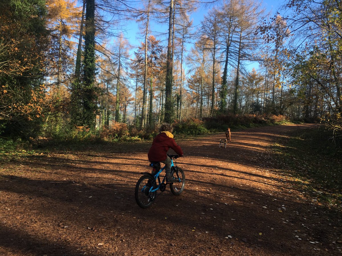 Rachel Hiscox tweet media