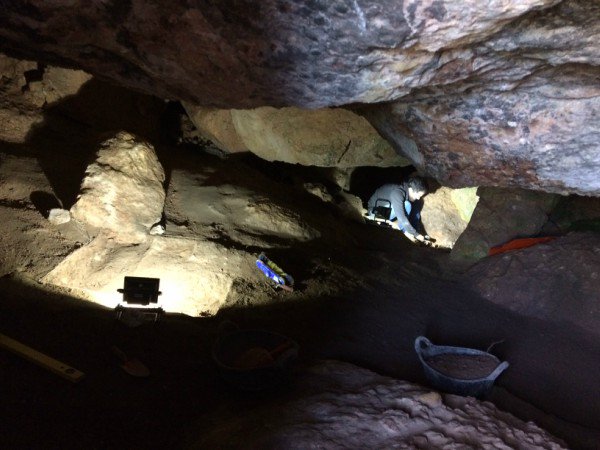 Enguany, prehistoriadors del @SERP_UB i @paleopenedes @GH_UB han reiniciat les excavacions arqueològiques en dues coves montserratines i ja han identificat estdats del Paleolític Superior i del Neolític Antic Cardial