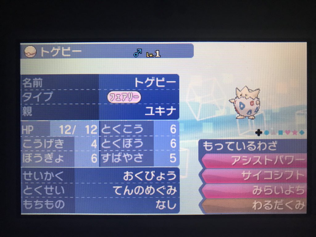 ট ইট র スズ 運営側のくせに当日になってやーっと頒布ポケモン決まりました プレポフル遺伝めざ地トケピー 40匹 ドリボフル遺伝夢ヒポポタス 匹 これで臨みます プレリュードミラクル蛇足編