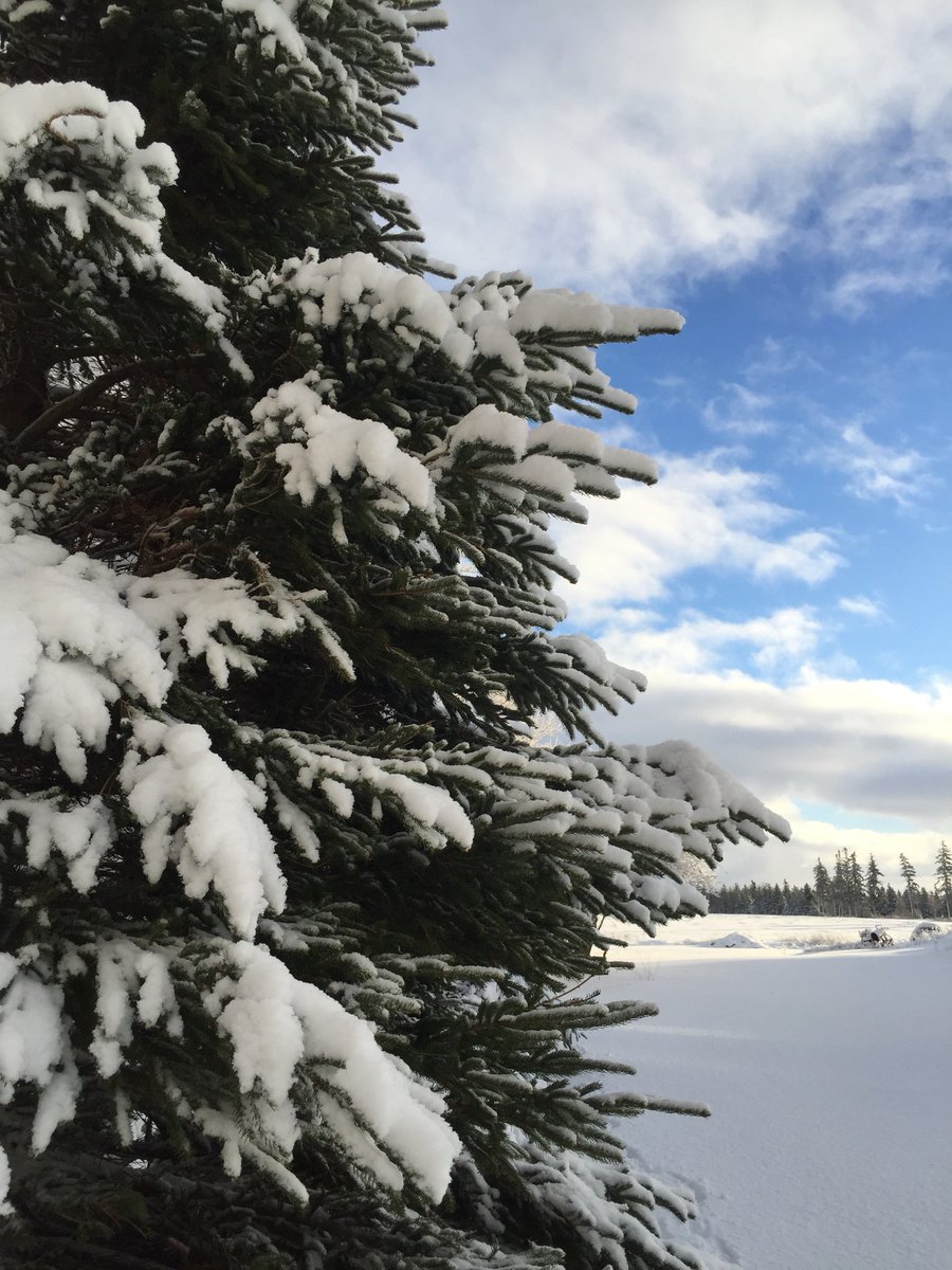 trudastavert's tweet photo. Good Morning #PEI https://t.co/iiSQzfEc2Z