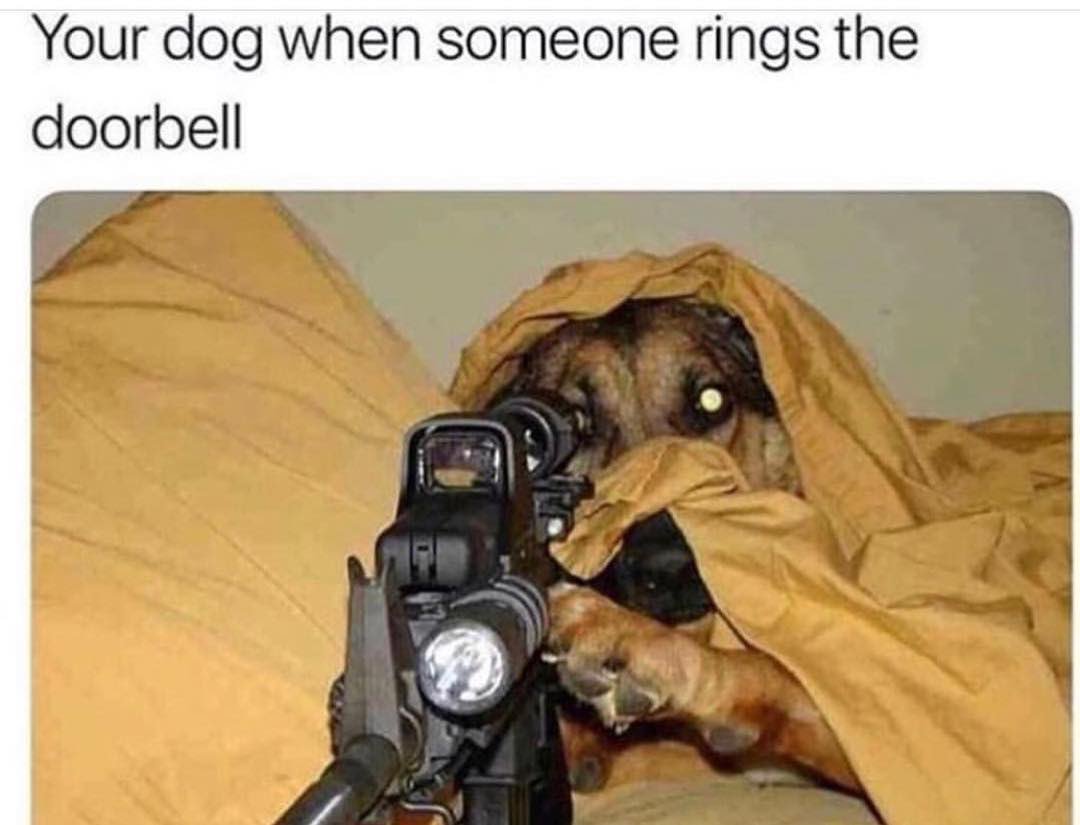 WORLDSTAR's tweet photo. When your dog is a real one! 🐶😂 https://t.co/gjNEoRxZdr