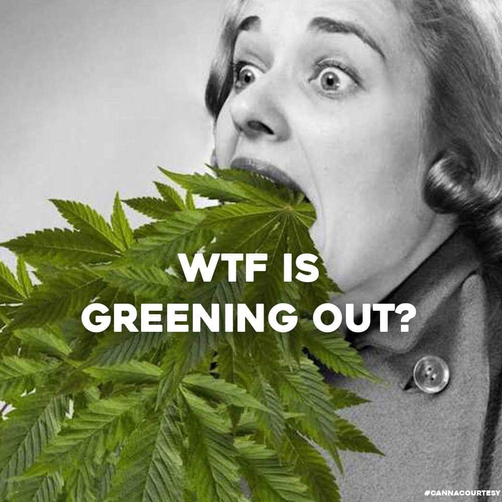 CannaCourtesy's tweet photo. Greening out is the feeling of nausea or extreme dizziness which may happen after one consumes/smokes too much weed

Tip: if you find yourself in this situation, take deep breaths, drink lots of water and most importantly sleep it off. #cannacourtesy #marijuana #weedfeed #toronto https://t.co/0B3qKjo0kx