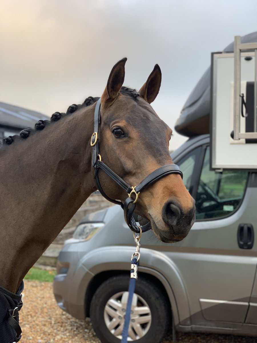 Alexis_C_Ross's tweet photo. Princess is all qualified for her regionals now 🤩 https://t.co/12JEzjHyGf