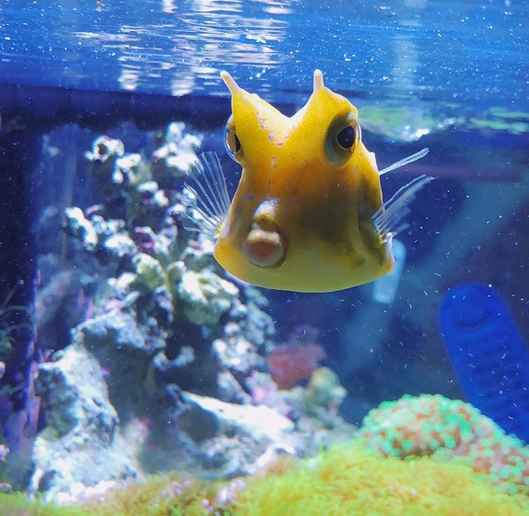 crymyeyesviol3t's tweet image. #RIPCheese ❤️❤️