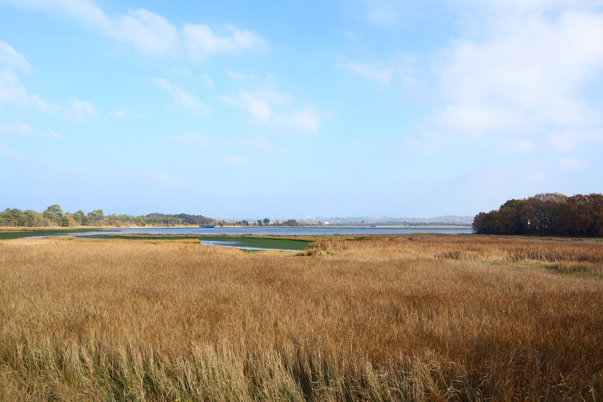 Holes Bay, Poole, Dorset. 2018 #liminalspaces #dorset #landscape #poole
