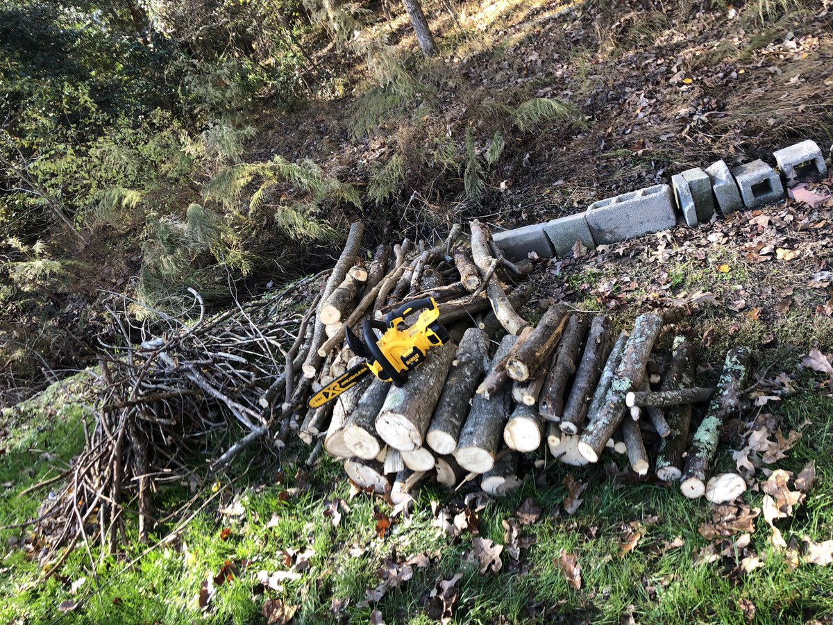lifenabled's tweet photo. My new favorite tool! All this wood was cut with one battery. Love my @DEWALTtough chainsaw. #saturdaycleanup https://t.co/t0EfytQYcX