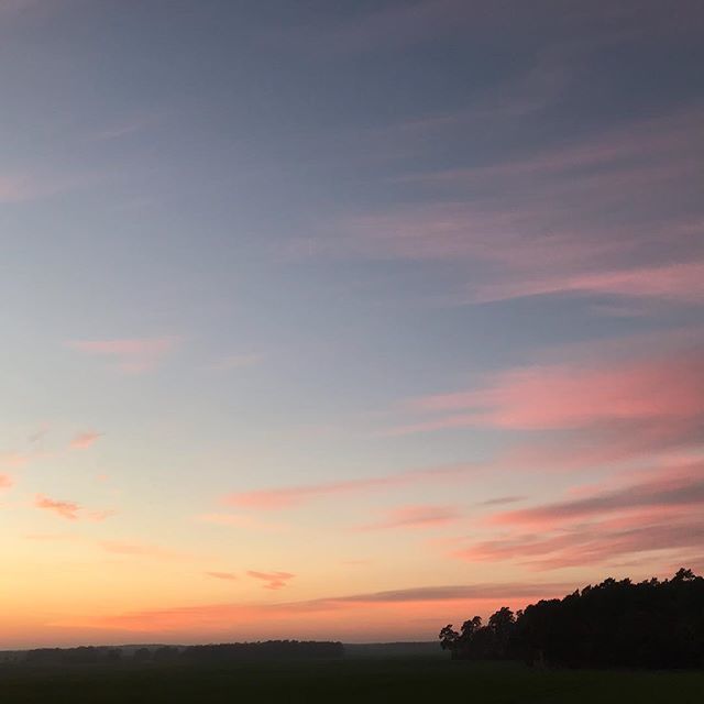 Uckermark_tmu's tweet photo. Neu auf #Instagram: Farbenspiel. #uckermark_erleben #uckermark #farbe #farbenspiel #bunteuckermark #bunt #colourful #amHimmel #oben #amWaldrand #unterwegs #herbst #autumn #fall #november #novembersamstag #Wochende #weekendcolours #wiegemalt #sundown #su⦠https://t.co/RcKNBppEFK https://t.co/KbQ4AkD4Re