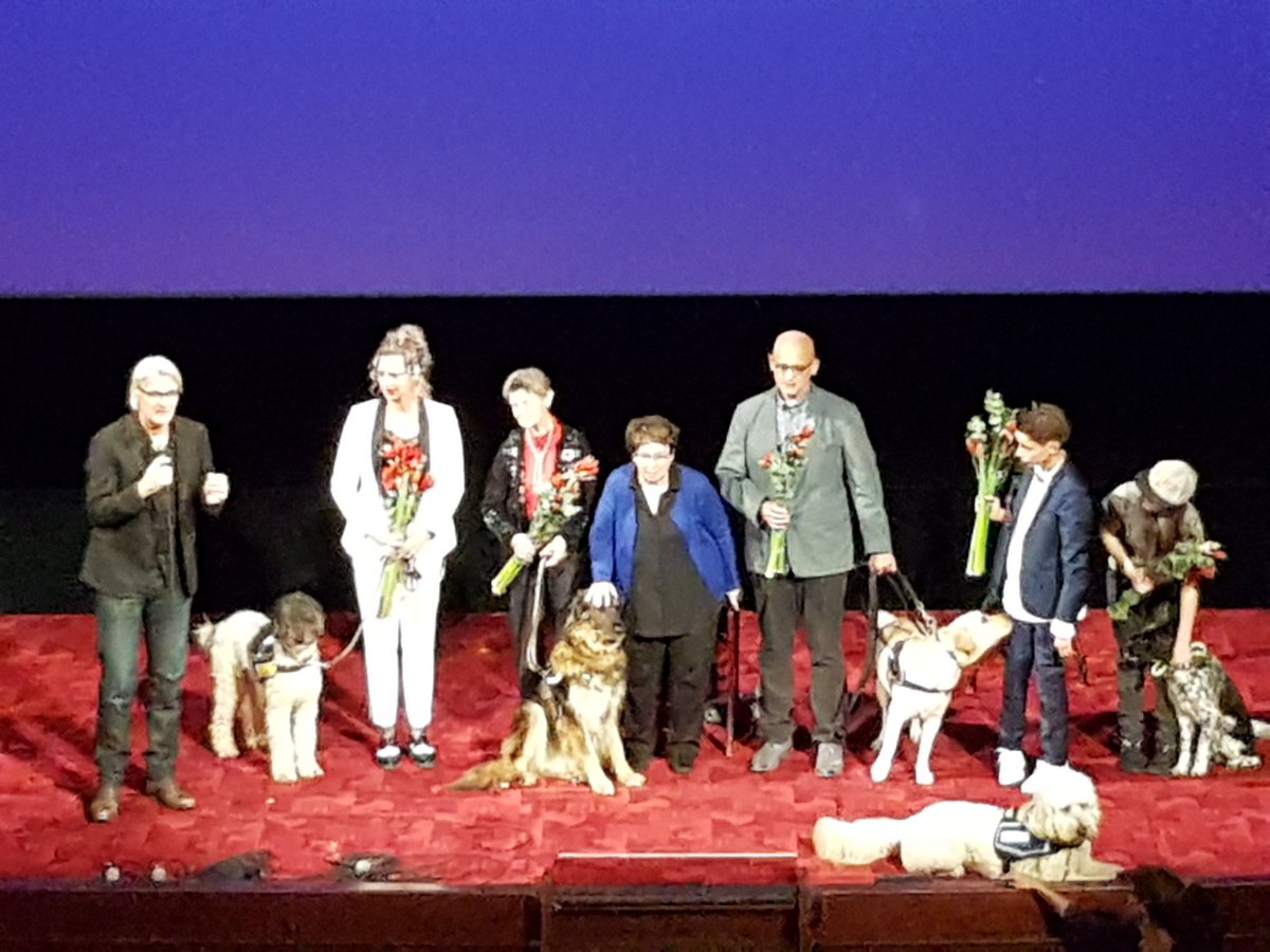 renskeluca's tweet photo. Net prachtige en ontroerende documentaire #buddy gezien van @heddyhonigmann over de liefdevolle relatie tussen hulphond en mens. Aanrader! #IDFA2018 https://t.co/XtpqEcDbu2