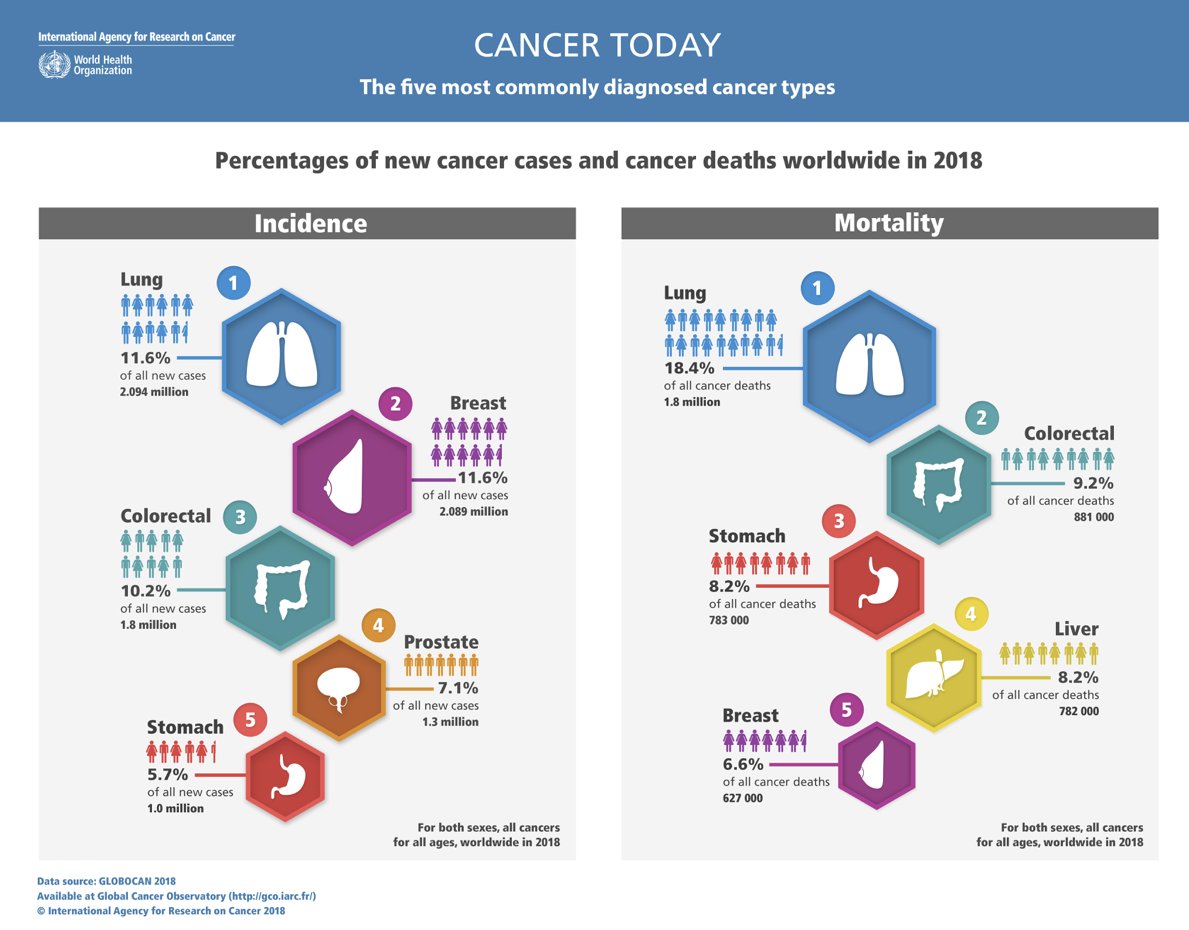 AmadeoWals's tweet photo. #cancertoday
#CancerHoy
fuente: globocan https://t.co/NR8otJzA0R