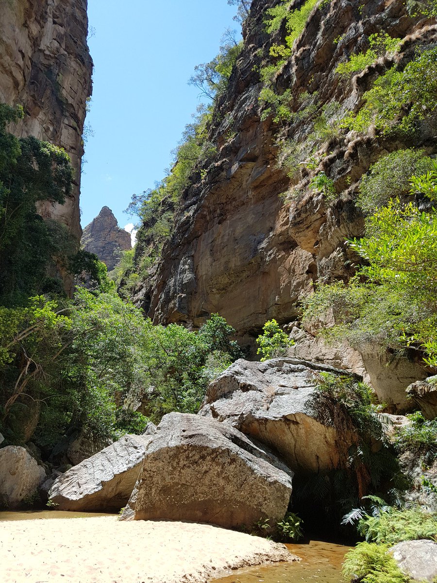 Audiodaan's tweet photo. Just under 2 weeks properly in the country, Madagascar so far has yielded a large variety of sound recordings. From strangely croaking frogs, dripping rainforest ambiences to singing lemurs and echoing stillness of canyons &amp; deserts. There is a lot to discover. #fieldrecording https://t.co/u2Rtt4iXCb