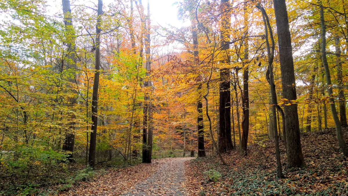 Jonna Michelle Photography tweet media