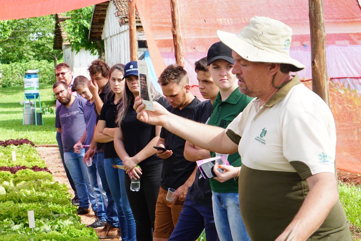 phenoglad1's tweet photo. 🍉🍓🌻 Estação "Produção de hortaliças folhosas sob telado" no Dia de Campo sobre HORTICULTURA, promovido pela SETREM, em Três de Maio, RS, nesta manhã apresentou as vantagens de produzir hortaliças em ambiente protegido por telas plásticas.
#horticultura #setrem #emater #ufsm https://t.co/6YQ0XVINsd