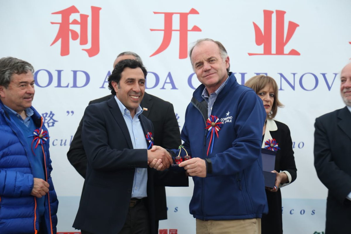 MinagriCL's tweet photo. Ministro @antoniowalkerp junto al Intendente @pablo_milad asisten a la inauguración de la planta de comercialización y exportación de frutas de la empresa Gold Anda Chile, primera planta con capitales 100% chinos instalada en Curicó, región del #Maule. https://t.co/jvYqQSaziT