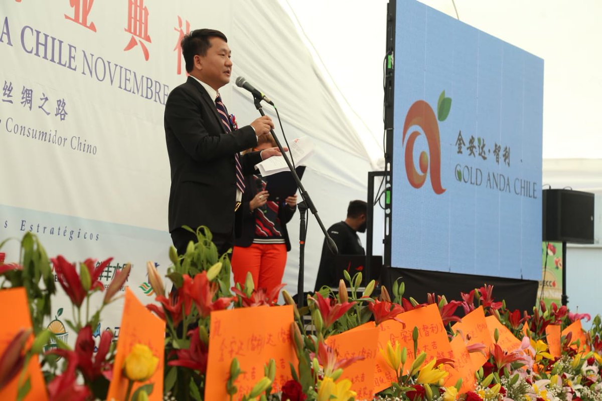 MinagriCL's tweet photo. Ministro @antoniowalkerp junto al Intendente @pablo_milad asisten a la inauguración de la planta de comercialización y exportación de frutas de la empresa Gold Anda Chile, primera planta con capitales 100% chinos instalada en Curicó, región del #Maule. https://t.co/jvYqQSaziT