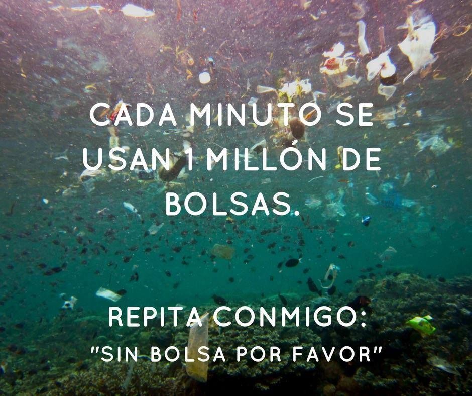 Ecogranjero's tweet photo. a generar conciencia... basta de plástico! https://t.co/NZoncpbG2N