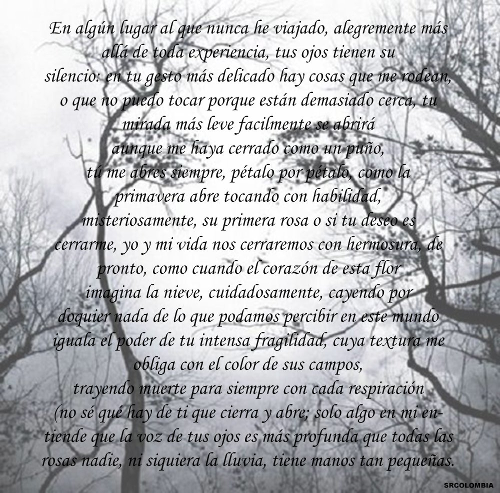 Sylvain Reynard Colombia tweet media