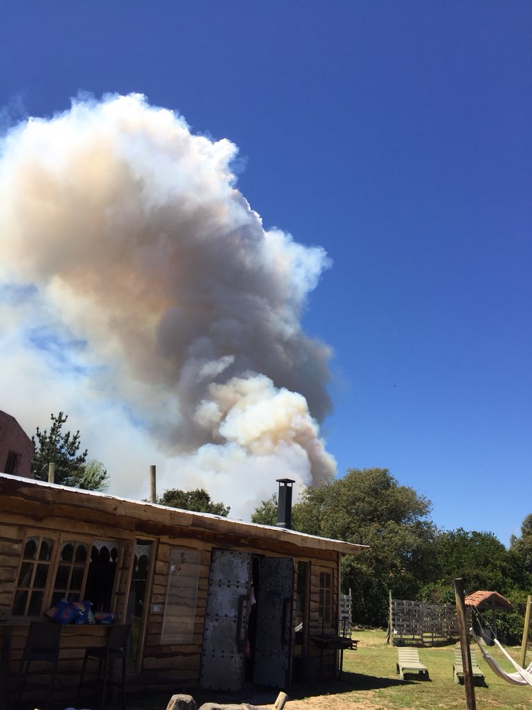 OttoSettegr's tweet photo. Forestal #mantagua #f232 ahora @sitiodelsuceso https://t.co/Y7ew6JLfsO