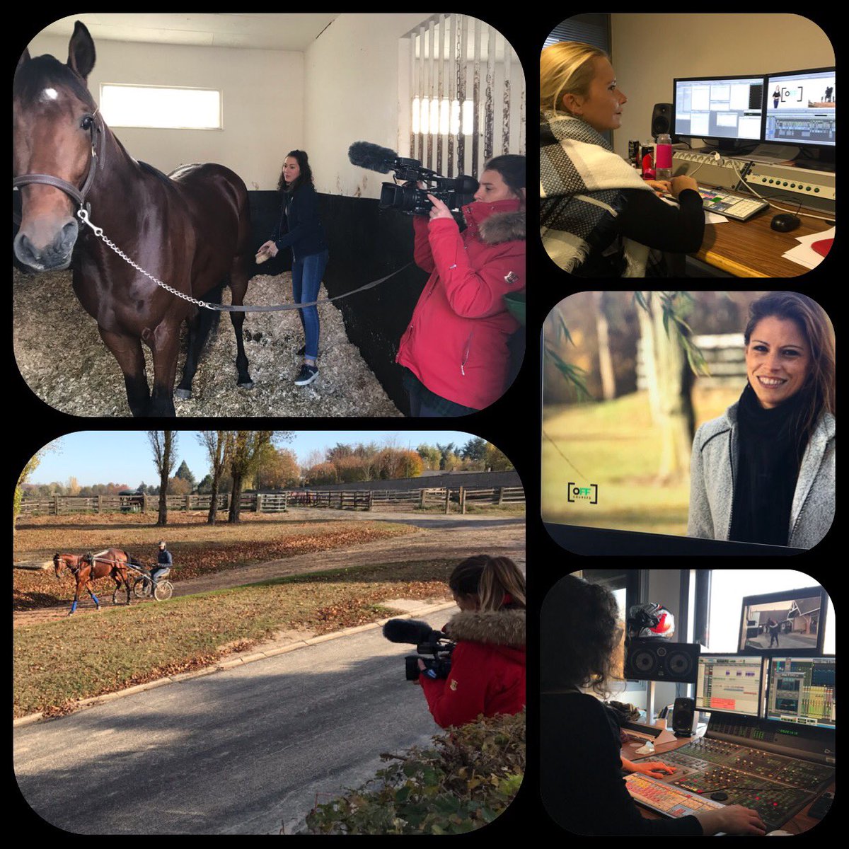 pgb51's tweet photo. Montage et mixage terminés alors on note demain 23h, « De l’autre côté du mur », le nouveau numéro de Off Courses présenté par @MCostabadie sur @equidia . Immersion au cœur du Domaine de Grosbois sur des images de @moncorge_c . Cc @LeTrot @Villecresnes @Ville_Boissy @ComMarolles https://t.co/LmFrtIAaKO