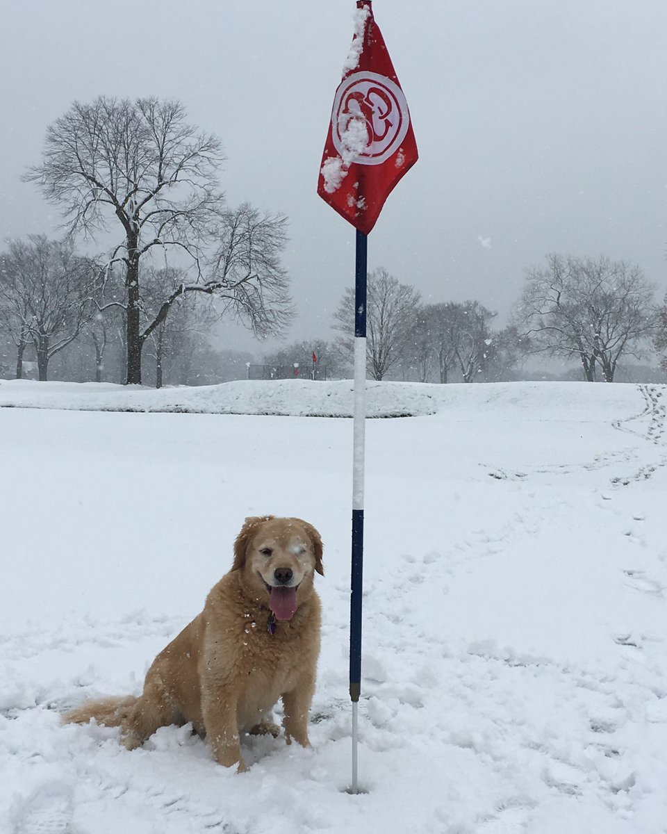 It looks as though Winter has officially arrived <a href="/SkokieCC/">Skokie Country Club</a>!  Photo cred to KForman.  #winterishere #skokieccgolf #donteatyellowsnow