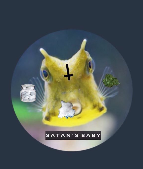 cheesey_cube's tweet image. I’m really gonna miss myself❤️ #ripcheese @taylorndean