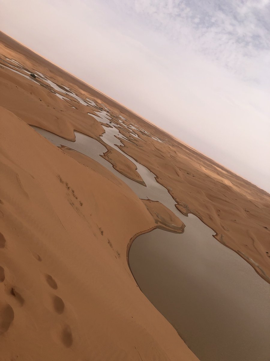 kaled333331's tweet photo. #صوره_من_جهازك تصويري امس برماح https://t.co/lTjljaNQmc