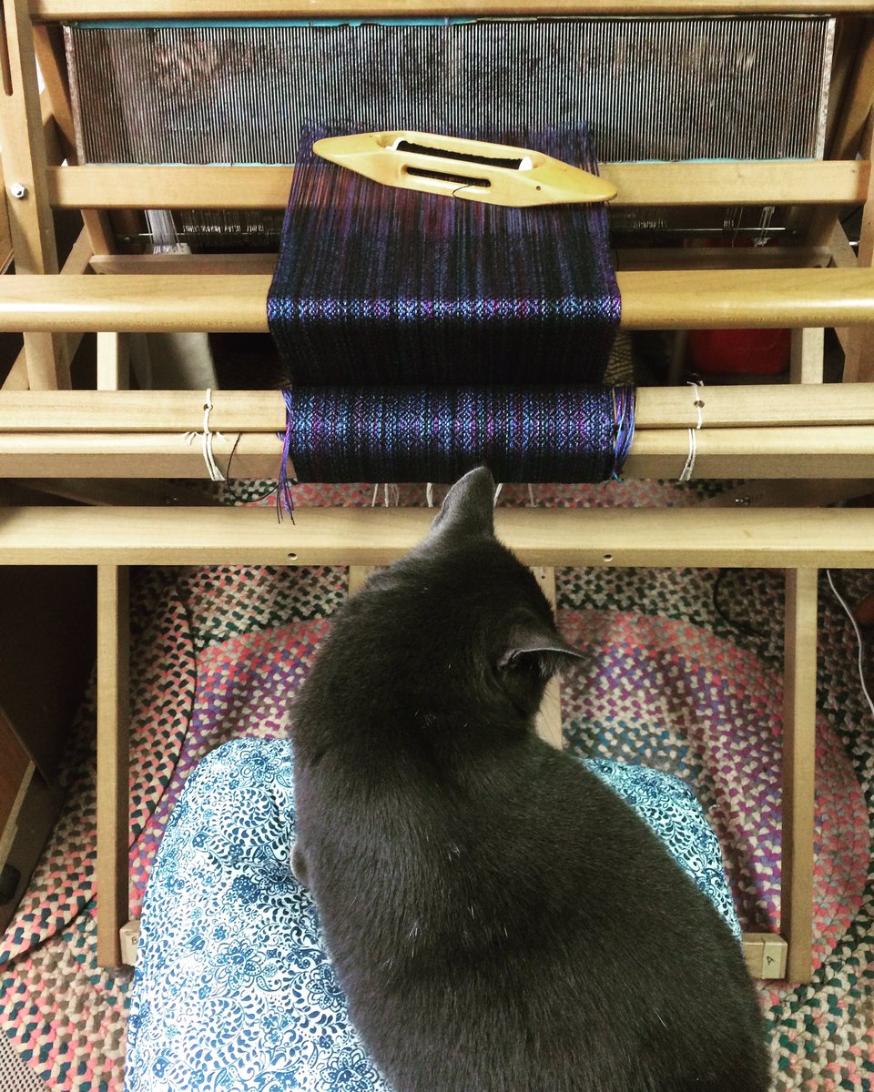 DaisyWeaving's tweet photo. I’ve got some “help” at the loom today 😹
.
.
.
#ahumbledaisy #handwoven
#woven #handweaversofetsy
#handweaversofinstagram
#weaving #weaver #handweaver #handweavers
#handmade #madebyhand
#etsy #caturday https://t.co/hvOBdQX0Tc