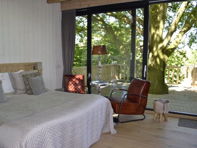 OrigineelSlapen's tweet photo. Je kan de boom in!! Maar dan wel in je eigen hotelsuite op 4 meter hoogte in een eeuwenoude eik. Deze luxe Boomsuite in Heeswijk-Dinther heeft zelfs een Finse sauna: https://t.co/aFY3D2a92i https://t.co/MTZirY6YWY