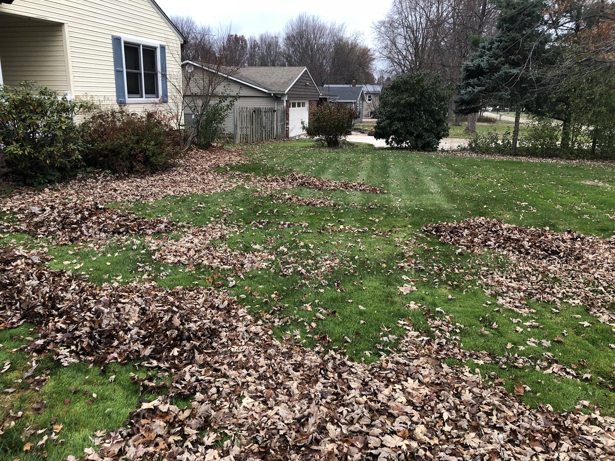 lewis_riley32's tweet photo. We had a great time today helping out on neighbors in the mentor community today raking leaves. Thank you @MHSCoachWilcox and @CoachBerwald for this opportunity #wackers #OnceACard https://t.co/iCTsl7XUli
