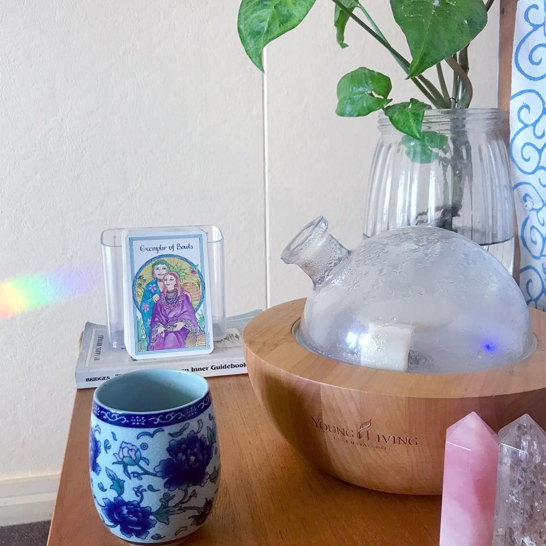 younglivingeoau's tweet photo. 🙋Hands up if you enjoy lazy Sundays with your favourite diffuser blend? 
📷@thehomealchemist 
.
.
.
.
.
#yleoaunz #lazysundays #essentialoils #diffuserblends #ariadiffuser #relax #unwind #wellness #wellnessblogger #mummyblogger https://t.co/pg7Y7W9NCT