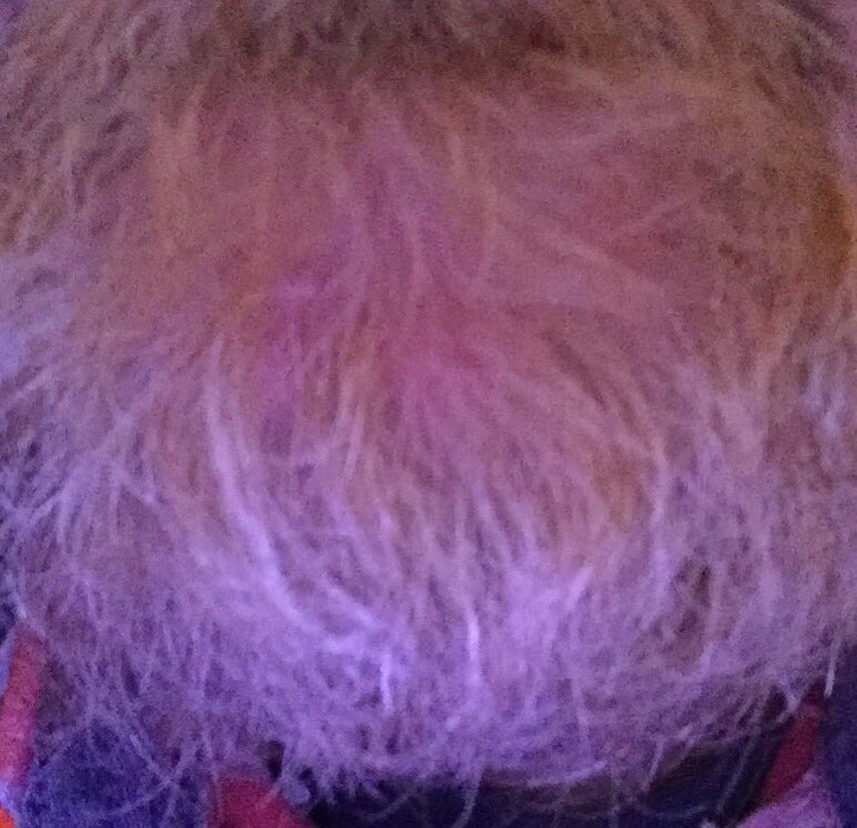 Bit of ginger bit of grey #shavetime
