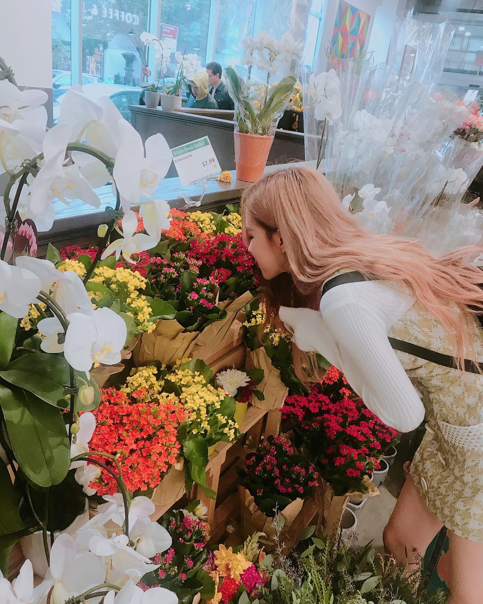 RosePics5's tweet photo. ❤ https://t.co/TRMYDUUvNI