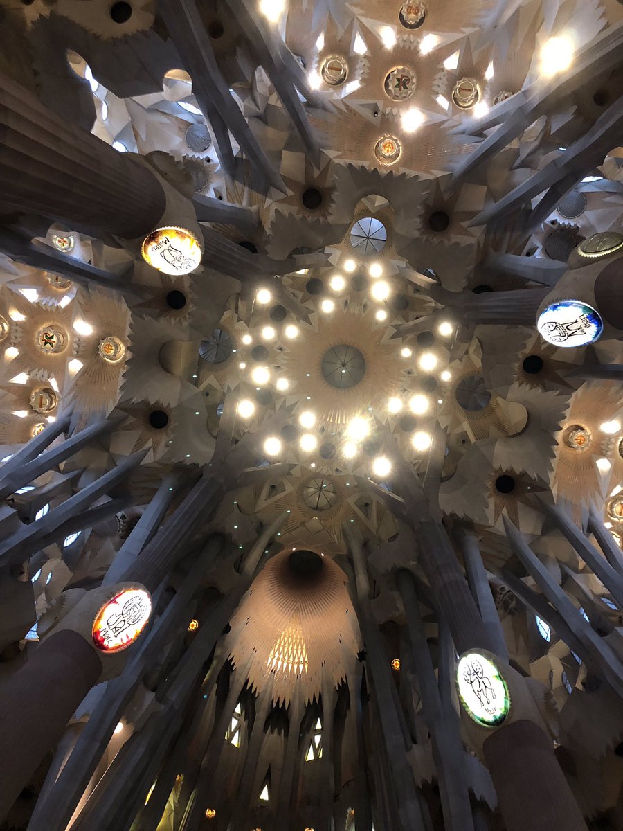 Scott Packer tweet media