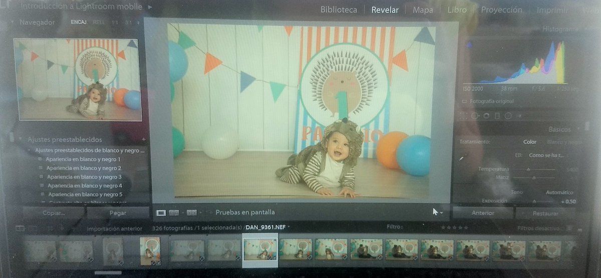 daniamacielfoto's tweet photo. Otra vez estoy encantada con las fotos de esta sesión con un guapísimo erizo 😍 #QueremosPastel #DaniaMaciel #GenerandoRecuerdos #MomentosDeLuz https://t.co/BJpjnMthgx