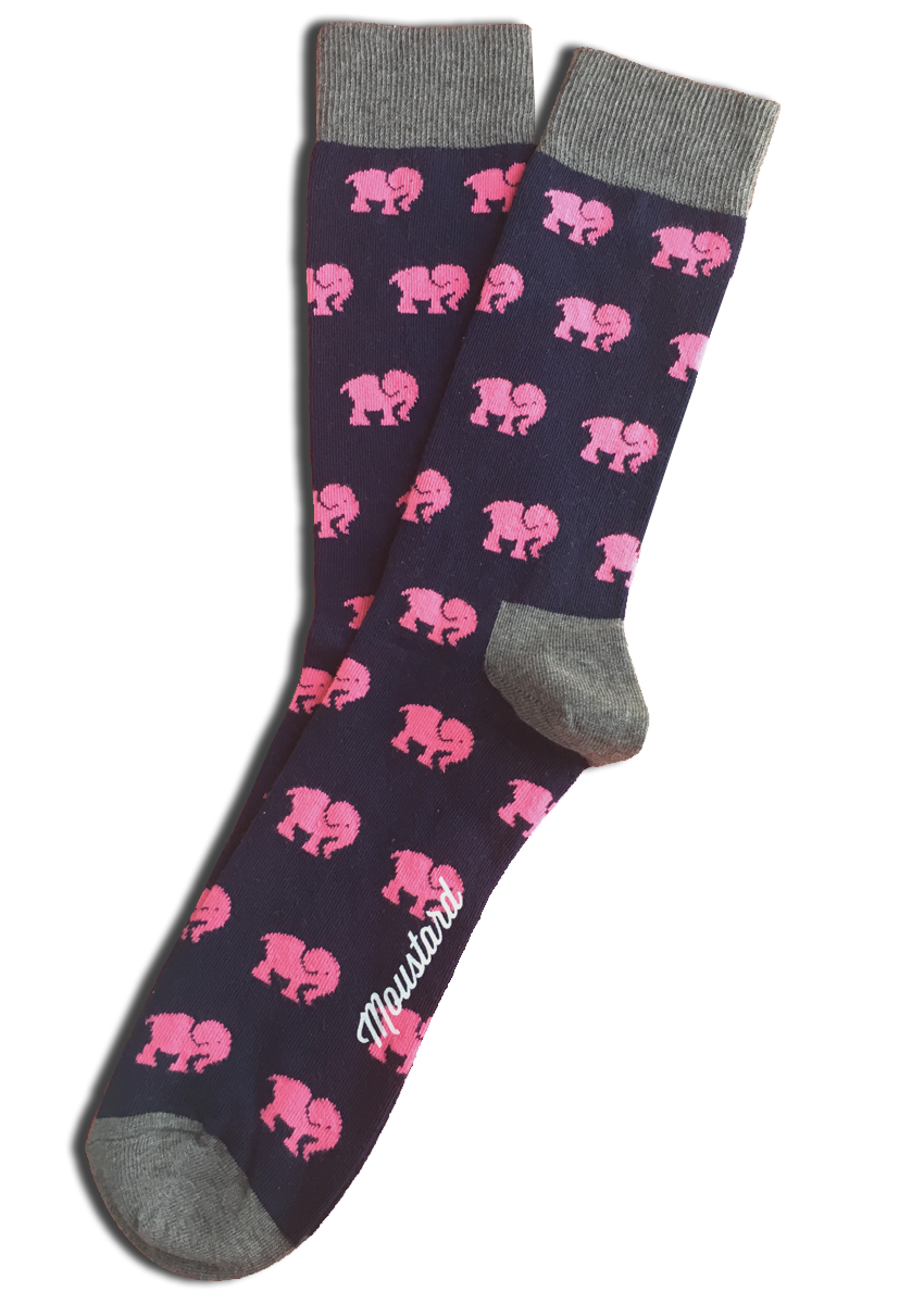 bazaar68's tweet photo. What do dinosaurs, avocados, and elephants have in common? They're all on our socks! 🧦😃 https://t.co/sFgScccv1m  ***Use code NOV17 at checkout for a discount - good only until midnight tonight!***
#SaturdayMotivation #Caturday #SaturdayThoughts #dapperday https://t.co/hpRdMO5vrs