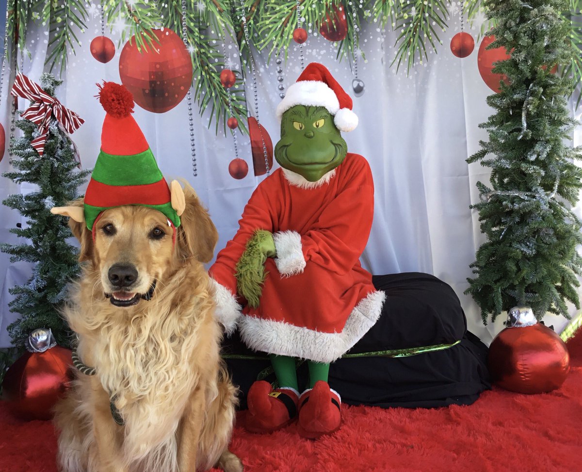 Harlee_CC's tweet photo. We met the Grinch today. https://t.co/0gUlb2jVOD