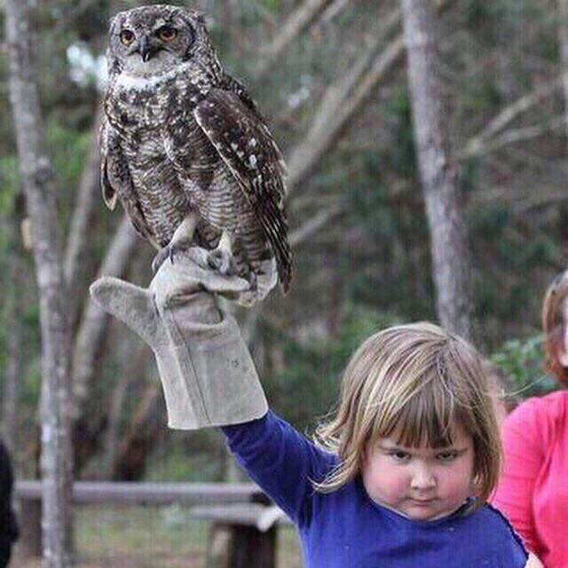 Down 17, score 27 unanswered for <a href="/Temple_FB/">Temple Football</a> on senior day. 🦉👊🏽 Raise em!!