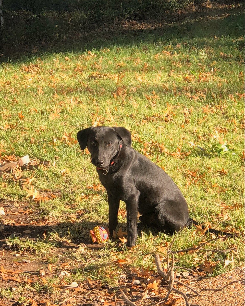 weesom96's tweet photo. I love my bud ♥️ https://t.co/VXRqAd9FMW