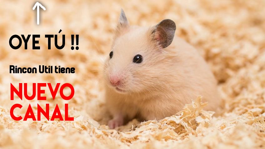 rinconutil's tweet image. Siii ...... bit.ly/RGadget