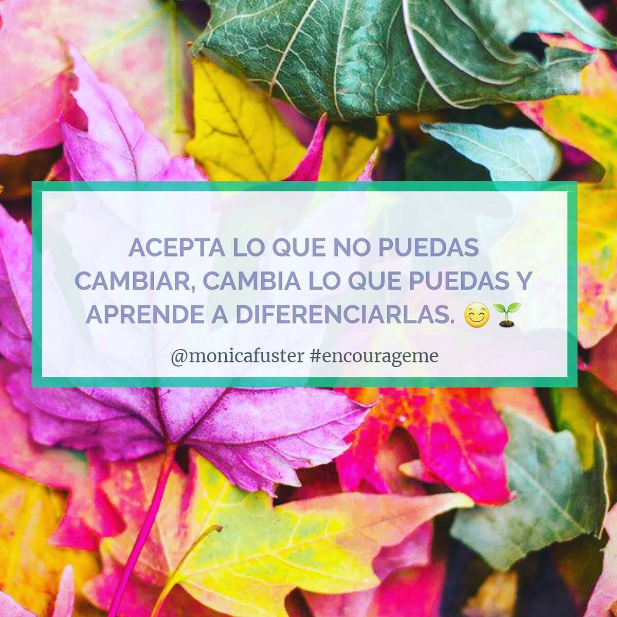 monicafuster's tweet photo. Acepta lo que no puedas cambiar, cambia lo que puedas y aprende a diferenciarlas. #encourageme #Improve #BeautifulLive #AlwaysForward #reflexión #Juventud #Business https://t.co/lv4usQp4U9