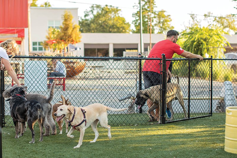 TulsaPeople's tweet photo. Woof 66, Fuel 66's new dog park, was inspired by owner Robert Carnoske's desire to continue making Fuel 66 a dog-friendly destination. #tulsadogs #doglover https://t.co/LW5F6SITEJ https://t.co/V3lbLbNJ0x