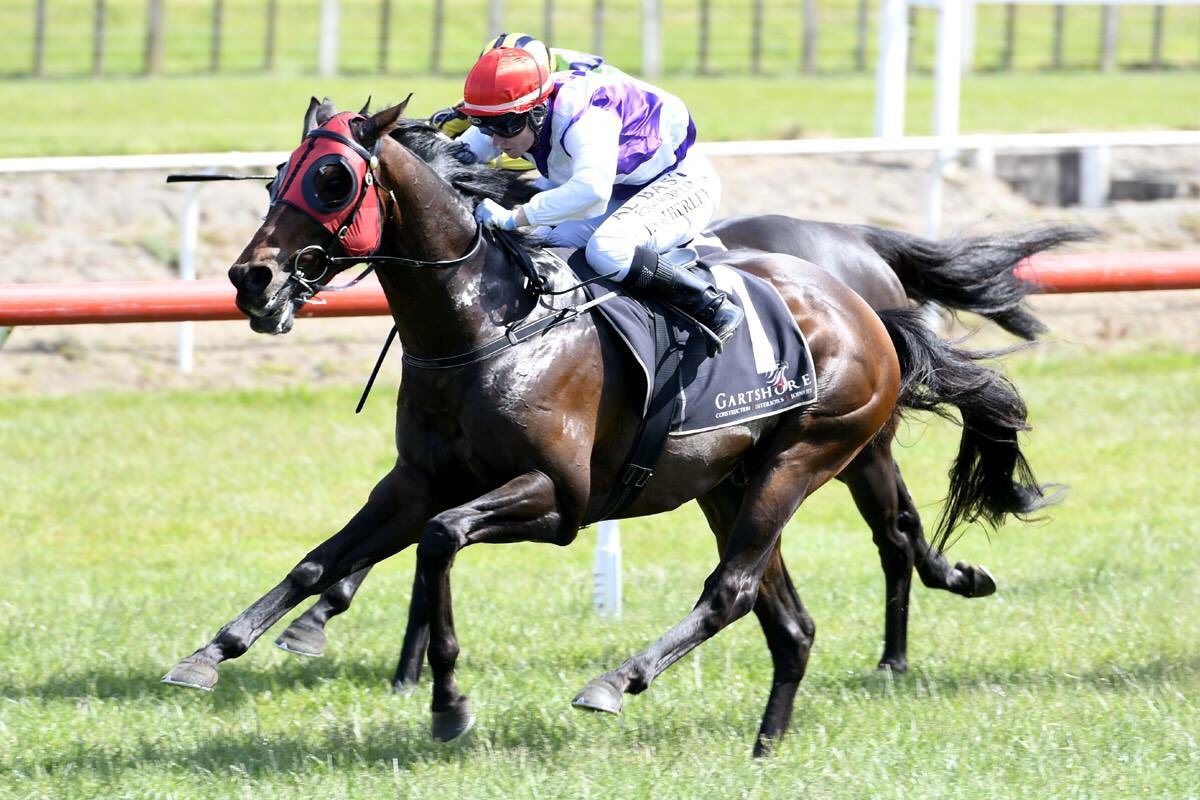 KarakaChat's tweet photo. OCEAN EMPEROR (NZ) DEFENDS TAURANGA STKES CROWN
#KarakaGraduate #OceanEmperor (NZ) (Zabeel) has gone back-to-back in the $100,000 G2 Gartshore Tauranga Stakes (1600m), defending his title in Tauranga’s WFA feature on Saturday.
READ: https://t.co/tTvwuRURIb https://t.co/LsI4fcG75L