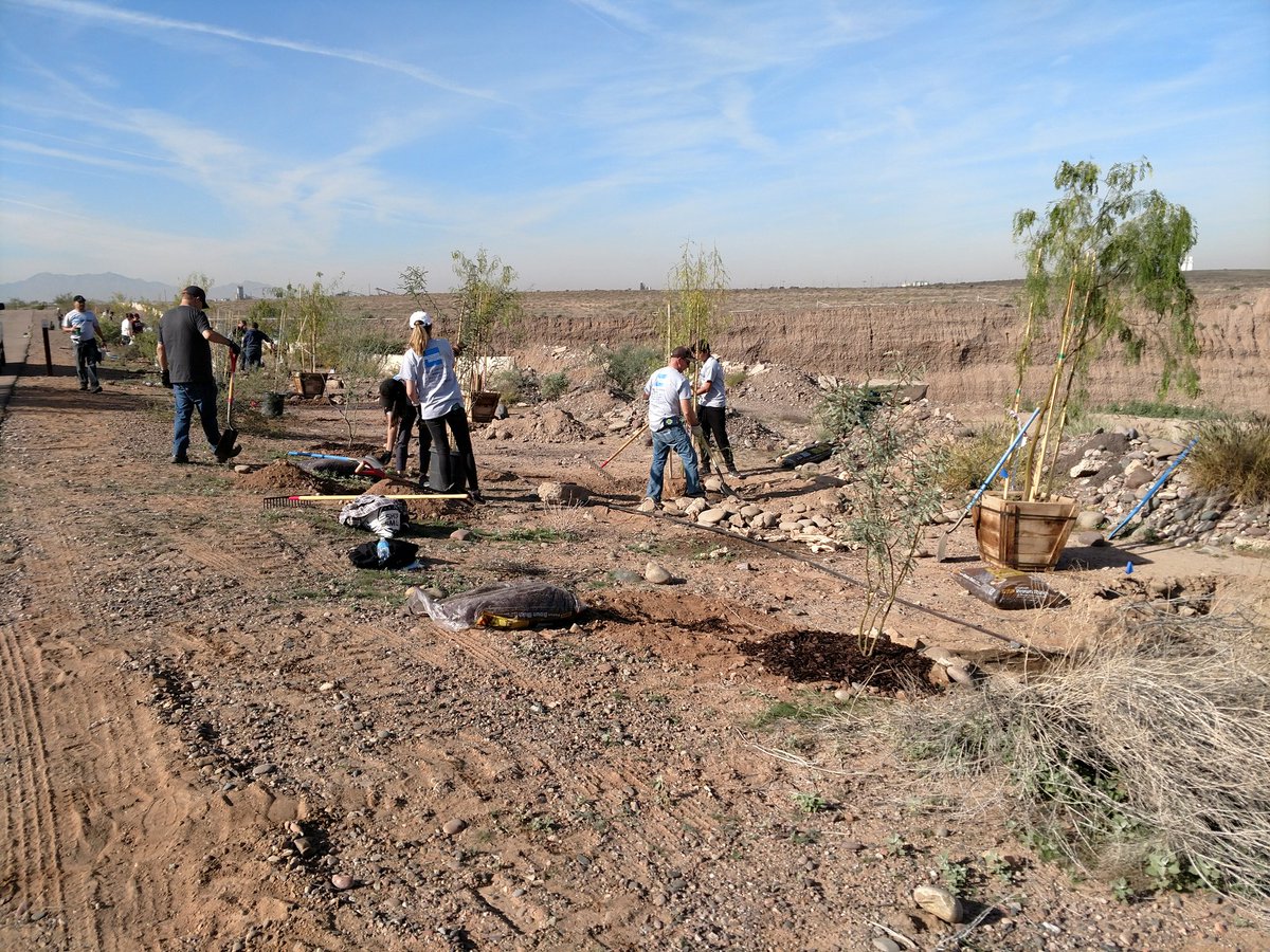 TreesMatterAZ's tweet photo. 50 trees planted at the Rio Salado Habitat this morning! Thank you to @MaggieClareMess and @nature_arizona for this project! Thank you to the amazing volunteers &amp; arborists who made sure these trees are set up for success! #TreesMatter @ASUHondula @AmericanExpress @GlobalTranz https://t.co/8Z9d0dLN3S