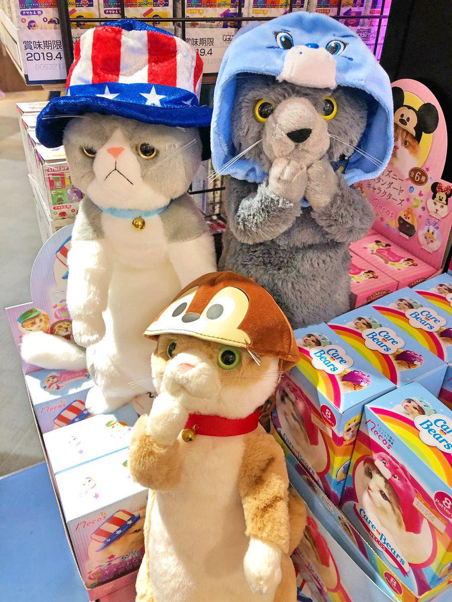 ヴィレッジヴァンガード イオンモール岡山 休日は 猫ちゃんやぬいぐるみさんと過ごしたい そんな大事な猫 ちゃん用のオシャレでかわいいかぶりもの ネコス たくさん取り扱っております ぬいぐるみにかぶせてもかわいい 各種サンプル出してる