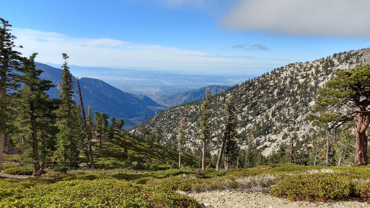 elitsirk's tweet photo. From September near Mt Baldy in an area vulnerable to #CaliforniaWildfires This is #California #RakeThis https://t.co/HPJhKV10Y9