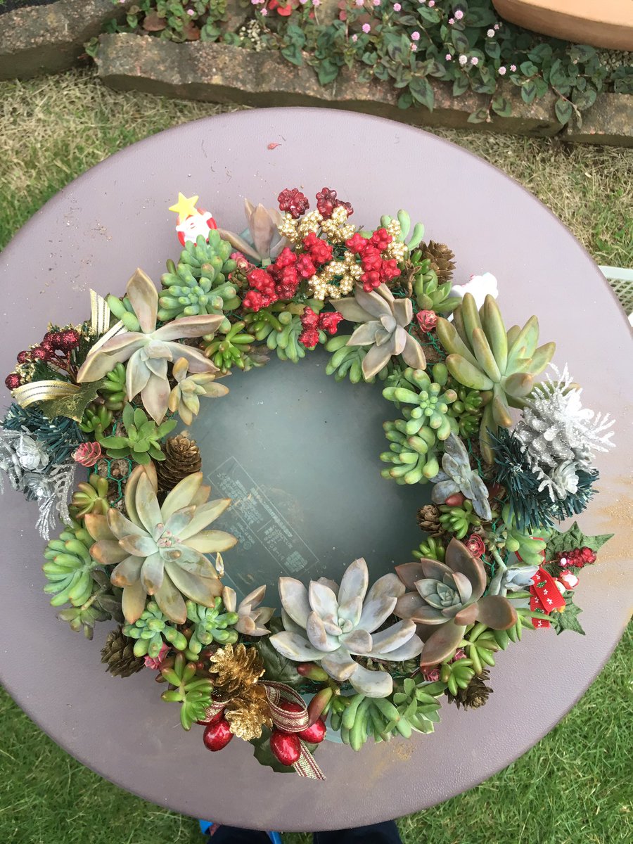 朝焼けは雨の兆し A Twitter 10月13日に挿し穂した 自作の多肉植物のクリスマスリース 今日 隙間に少し足した 成長したのでそろそろ玄関ドアへ移そう 多肉 多肉植物 クリスマスリース 10月13日 今日