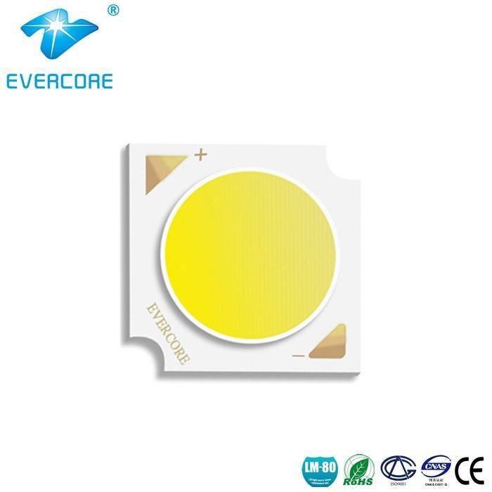 EvercoreLed's tweet image. High Quality T14 Cob Led Factory led-cob.com/cob-led-t14 lighting for commercials, commercial lights for sale, Cob Led Module #Ledcolorrojo
