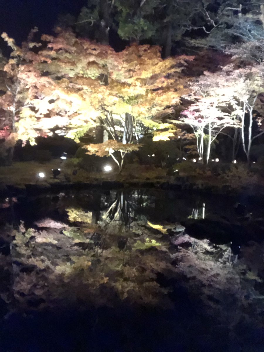 Syo9228's tweet photo. せせせ、せんだいっ https://t.co/z2UxI461TG