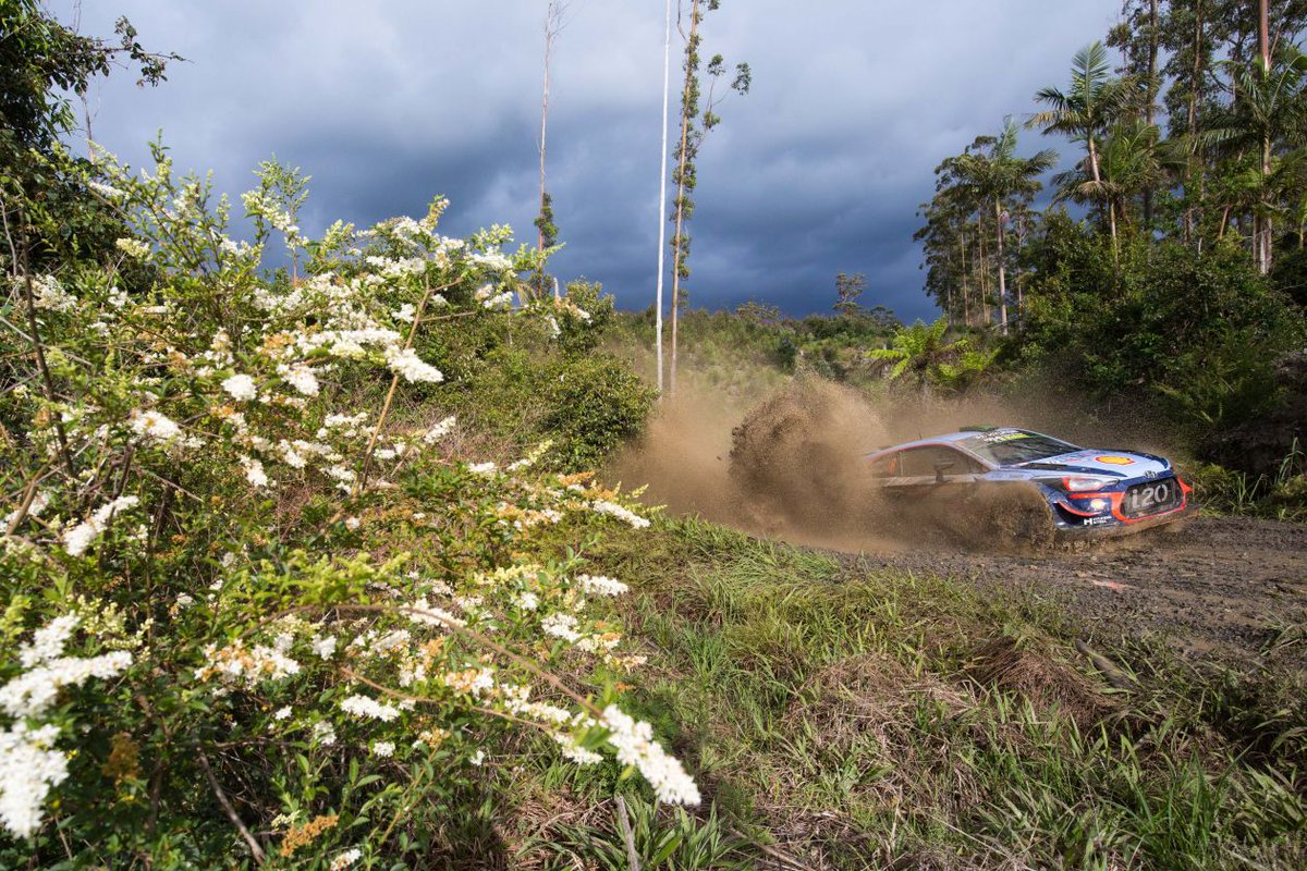 HMSGOfficial's tweet image. #WRC
🏁 O/A after SS23

1. 🇫🇮 Latvala 
3. 🇳🇿 #Paddon +32.1 🔺
4. 🇳🇴 Ostberg +53.7
5. 🇫🇮 Lappi +1:06.4
6.  🇫🇷 Ogier +2:35.0
7. 🇬🇧 Evans +3:06.3
8. 🇫🇮 Suninen +4:01.8
9. 🇮🇪 Breen +8:38.3

#HMSGOfficial #RallyAustralia