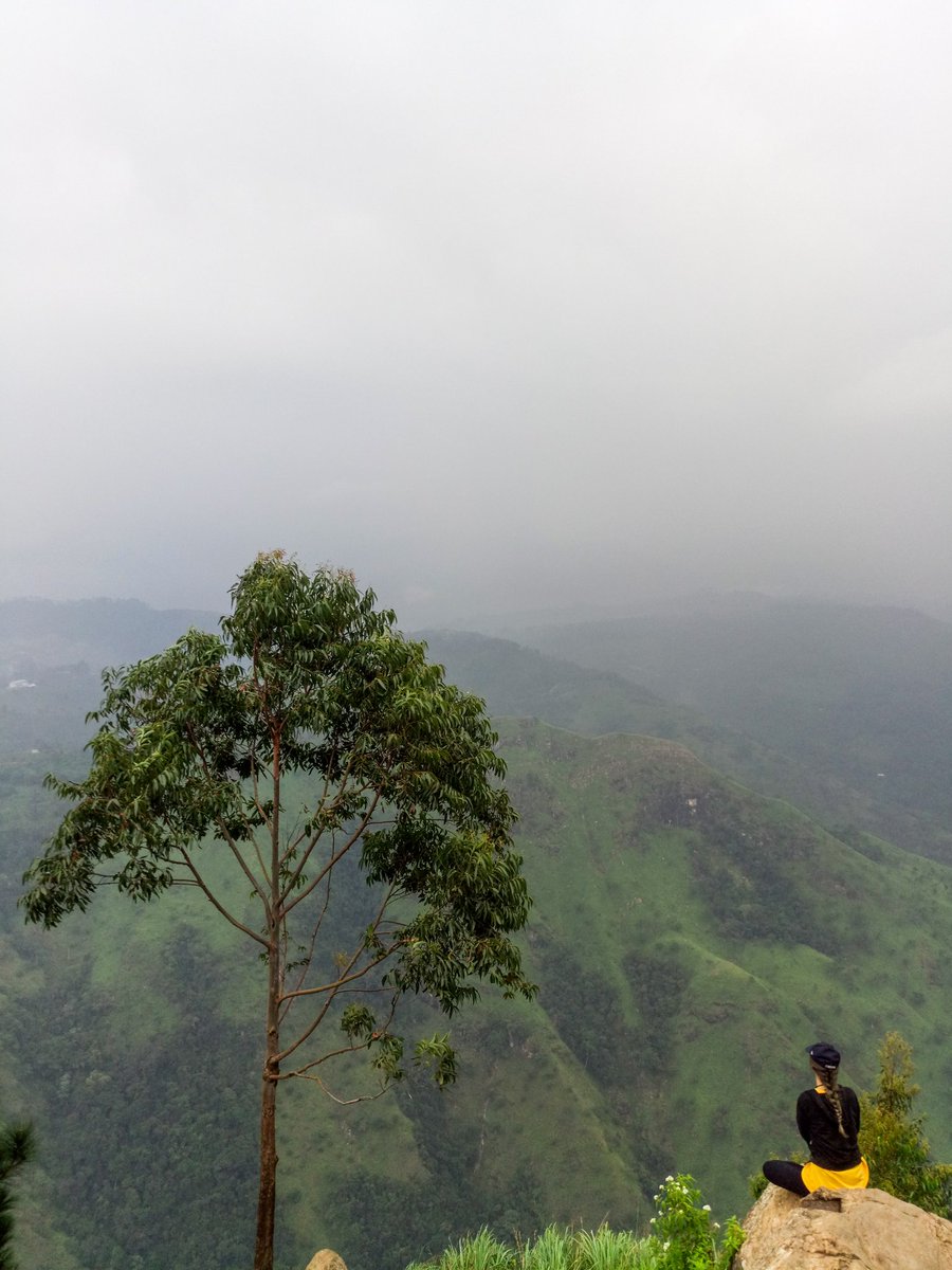 igurupanmalli's tweet image. #ellarock 🍃 #view