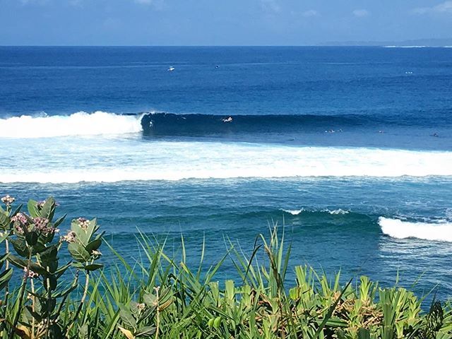 onestepindo's tweet photo. Somewhere over the rainbow🌈dreams do come true🌺
•
“Occy’s Left” •
“Every Journey Begins With One Step”🦋
•
#occysleft #nihisumba #nihiwatu #sumbaisland #bigsumba #indonesia #onestepindonesia #surf #surfing #surfers #goingleft #waves #wave #bluewat… https://t.co/2bc9IklQlu https://t.co/W8Yy6R4z8v